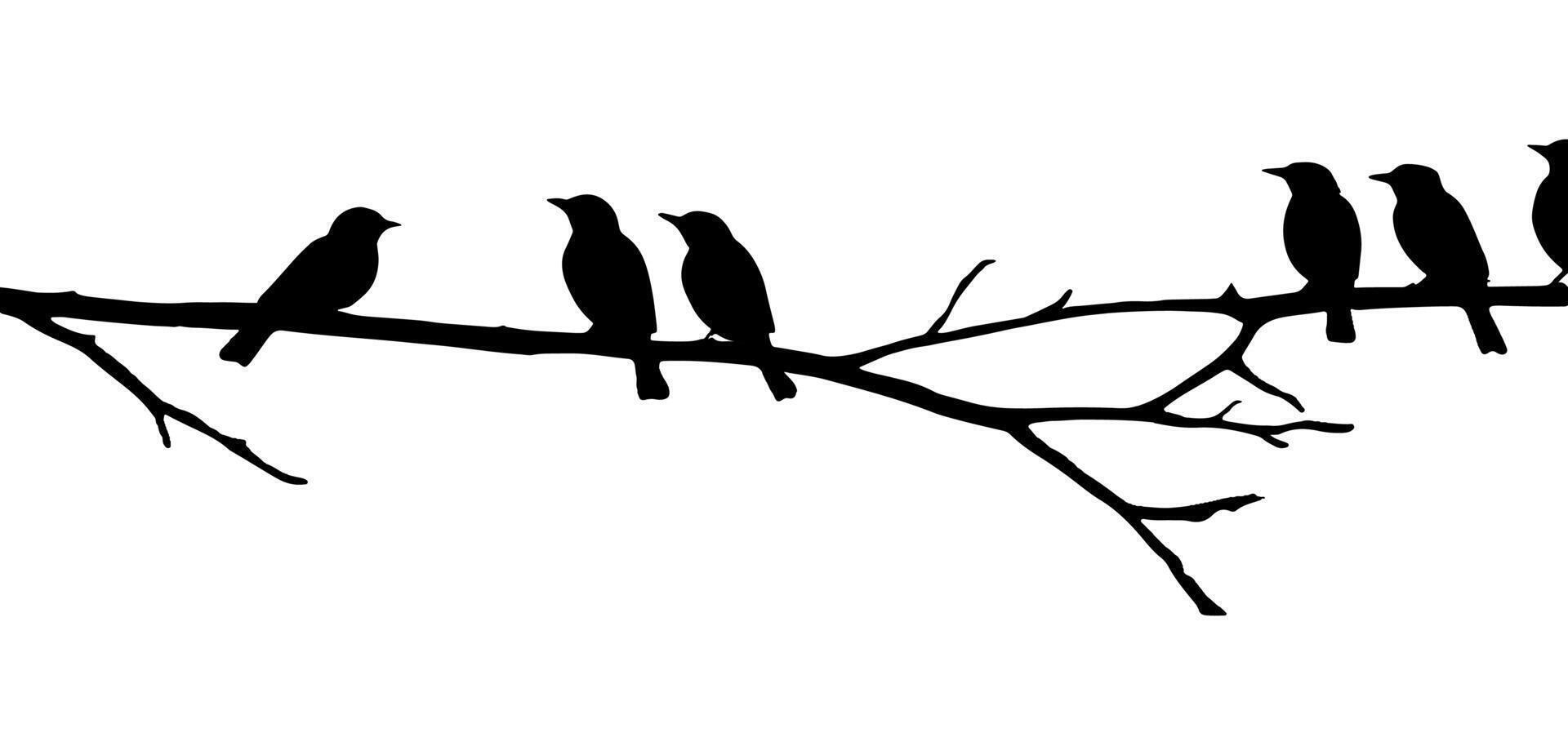 Birds on a branch silhouette vector