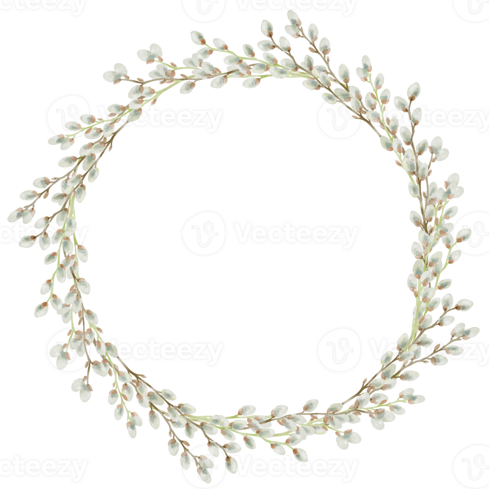 Watercolor illustration of round frame made of a willow buds. Ideal for romantic greeting cards, invitations to weddings or birthdays. Cosmetics, perfumes and home decor. Frame for websites or apps png