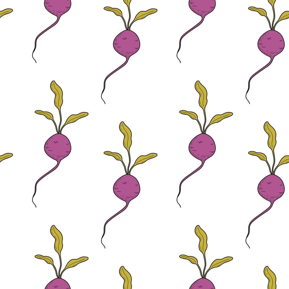 Pattern with beets on a white background. Vegetable seamless pattern with beet, radish, radish, root vegetable vector