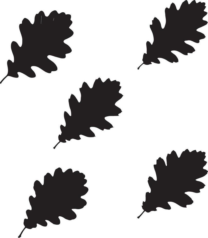 silhouette oak leaves pattern on white background. vector