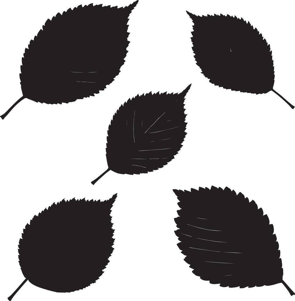 silhouette of multiple autumn leaves against a white background. vector