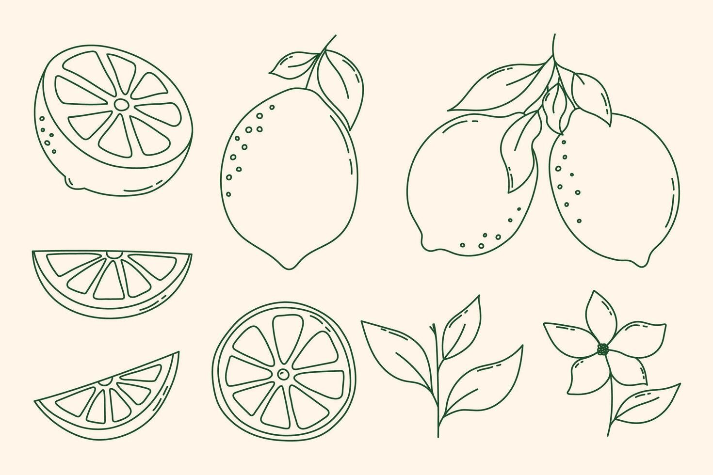 Hand Drawn Outline Lemon Fruits Set. lemons, whole lemon fruits, flower, leaf, lemon slices and half cut lemon, chopped lemons set. Cartoon line art lemons collection for lemonade, juice vector