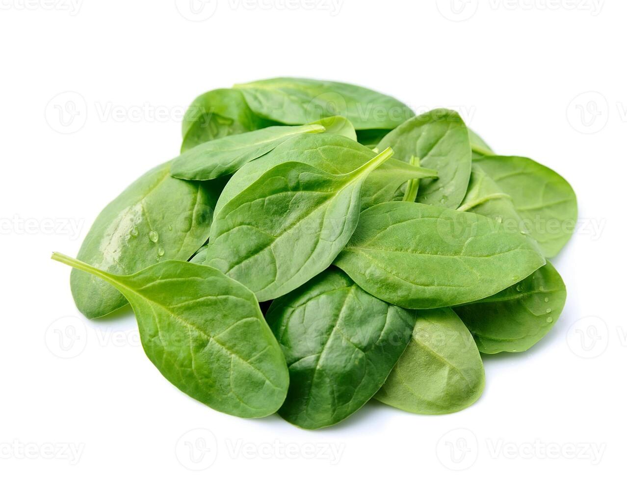 Spinach leaves closeup photo