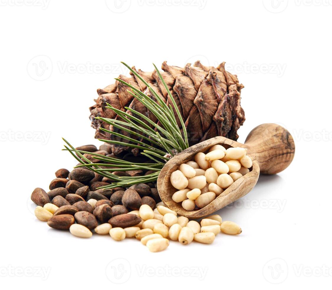 Pine nuts with cedar cones photo