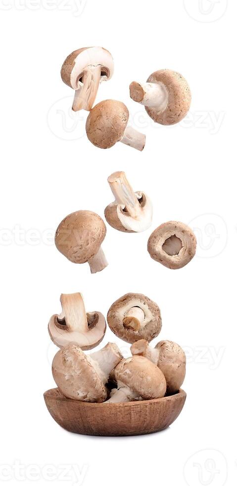 Faling mushroom in wooden plate. photo