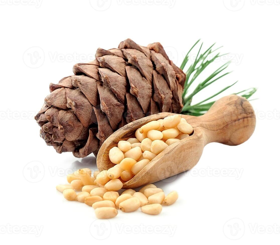 Pine nuts and cedar cones with branches close up photo