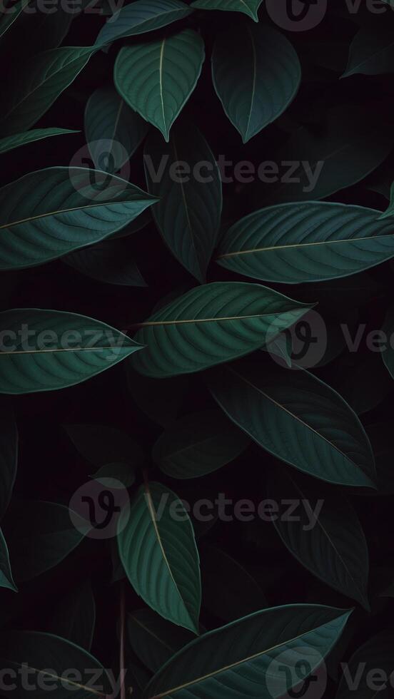 close-up view of lush dark green leaves with visible veins photo