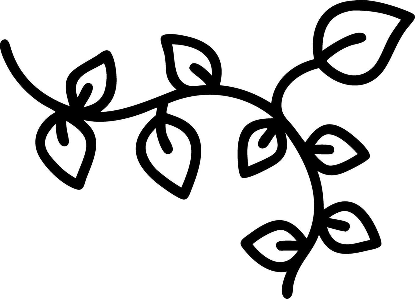 Wild morning glory leaves jungle vines tropical plant isolated white background clipping path concept as Isolated white backdrop highlights jungle vines morning glory leaves tropic Clean vector