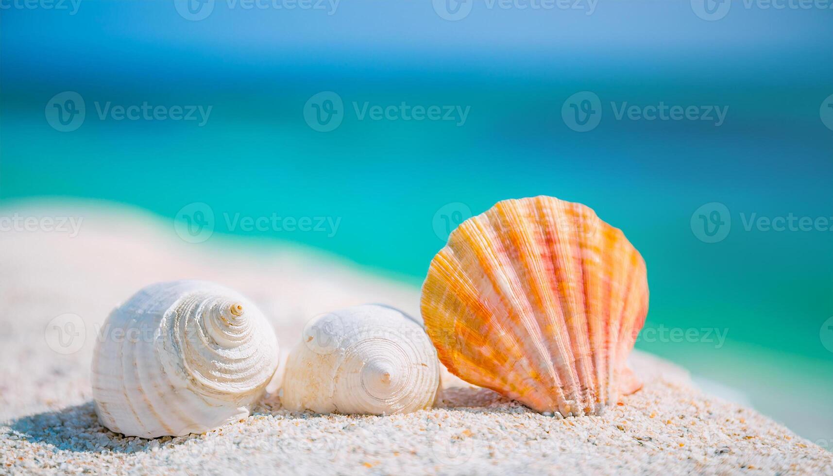 Beautiful sea shells. Blurred turquoise background. Summer vacation and travel concept. photo