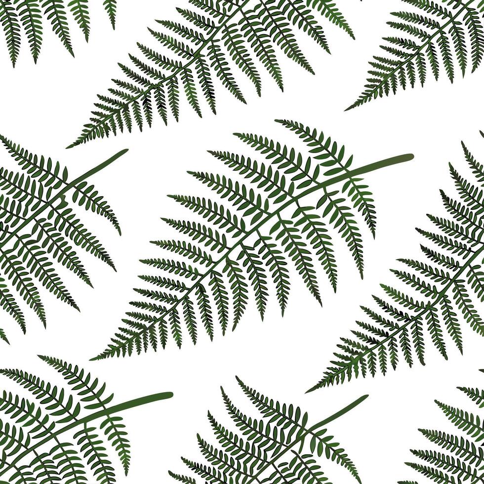 Fresh fern seamless tile pattern with intricate fronds and rich green tones for spring freshness concept as Fresh fern fronds with rich green tones and intricate details create a s Clean vector