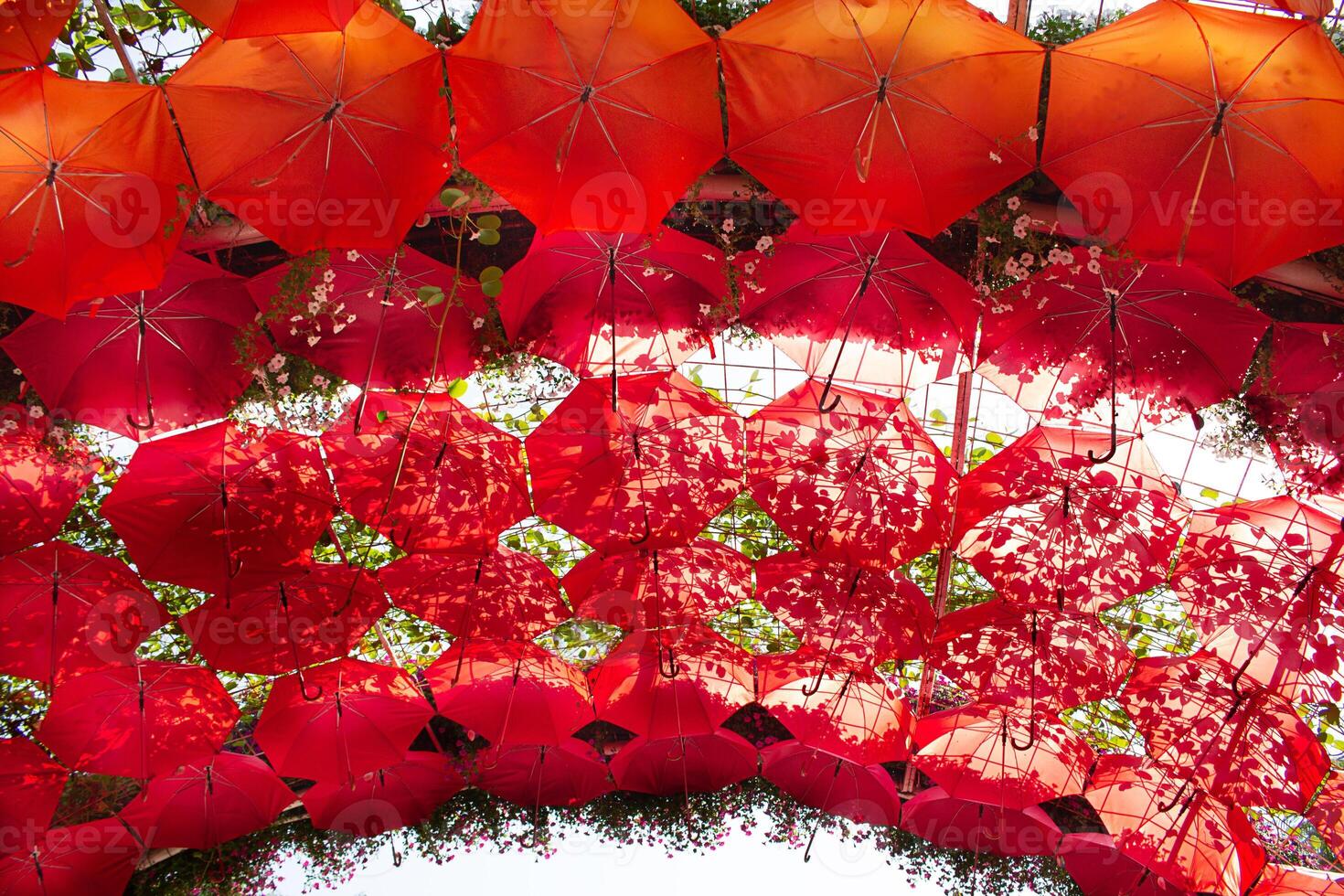 Vibrant red umbrellas hanging overhead, interspersed with green leaves, artistic atmosphere. Creativity, and connection to nature, outdoor events, and decorative themes. Sun awning photo
