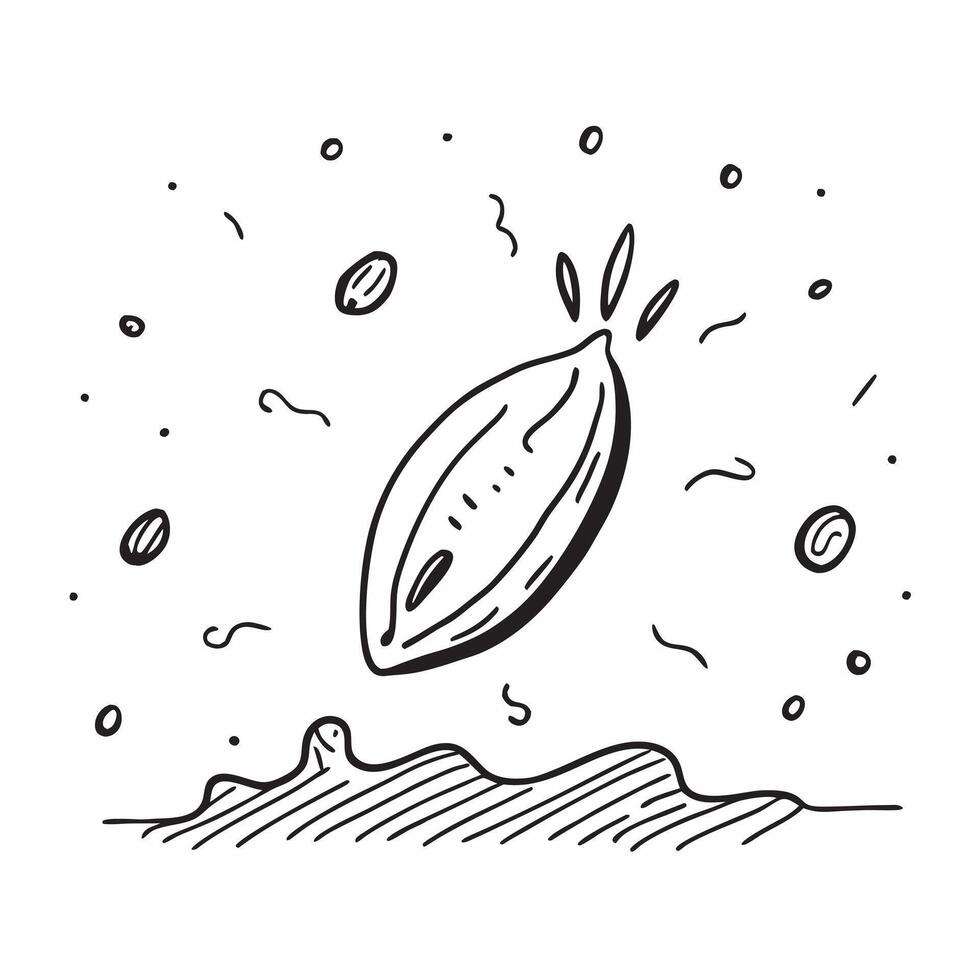 Unique Seed Among Seeds concept as A single unique seed stands out among numerous seeds in a dreamy background offering ample space for text or graphics symbolizing potential and u Cleans vector