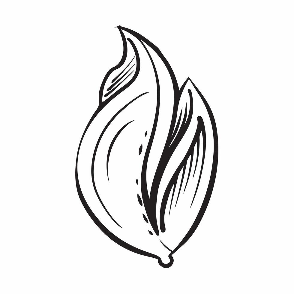 Leaf icon with copy space on a white background concept as A image of a leaf icon with generous copy space on a white background ideal for natural health and eco friendly th Cleans Set 3 vector