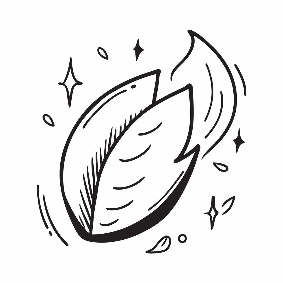 Leaf icon with copy space on a green background concept as A image of a leaf icon with ample copy space on a green background perfect for natural health and eco friendly the Cleans Set 2 vector