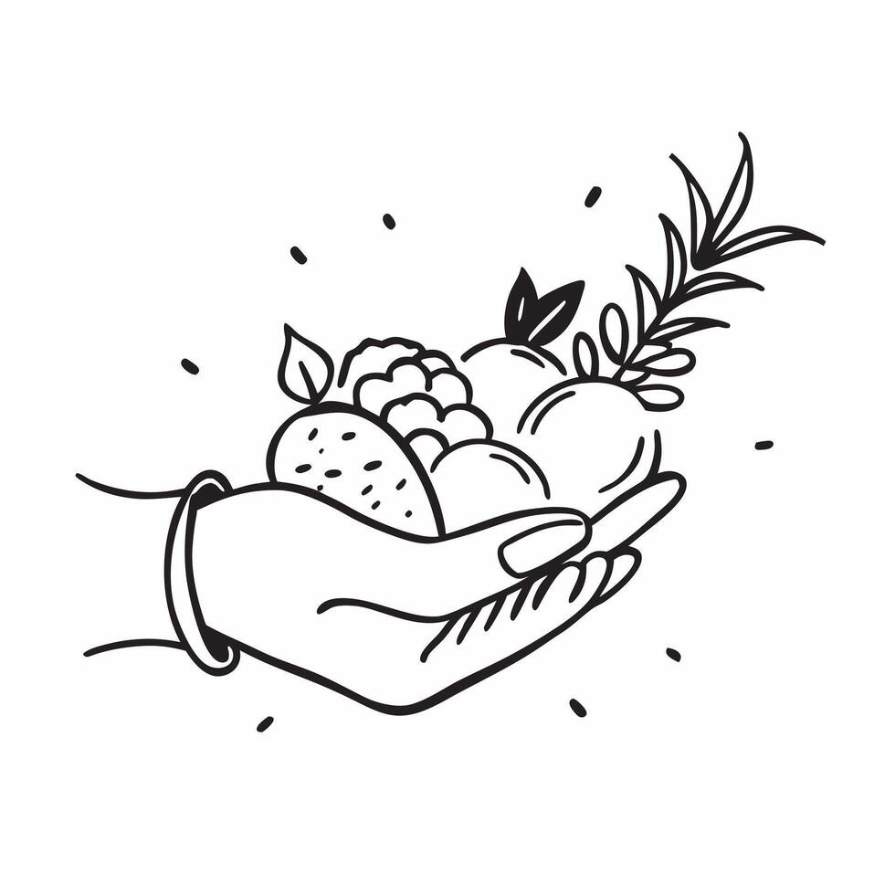 Human hands presenting a cornucopia filled with fruits with copy space concept as Human hands presenting a cornucopia filled with fruits symbolizing abundance and Thanksgiving wit Cleans Set 2 vector