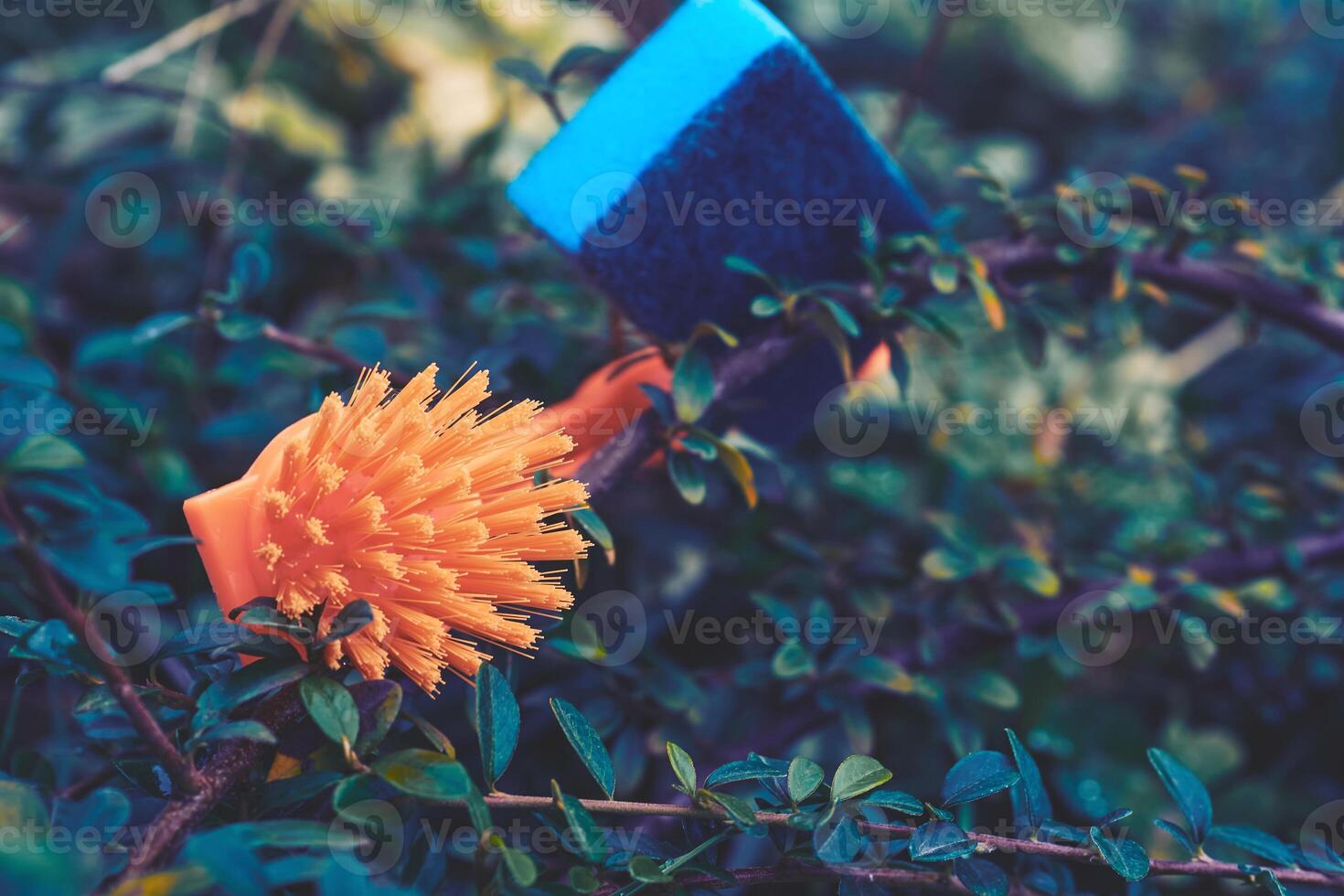 Orange brush cleanup,blue sponge for cleaning on green bushes photo