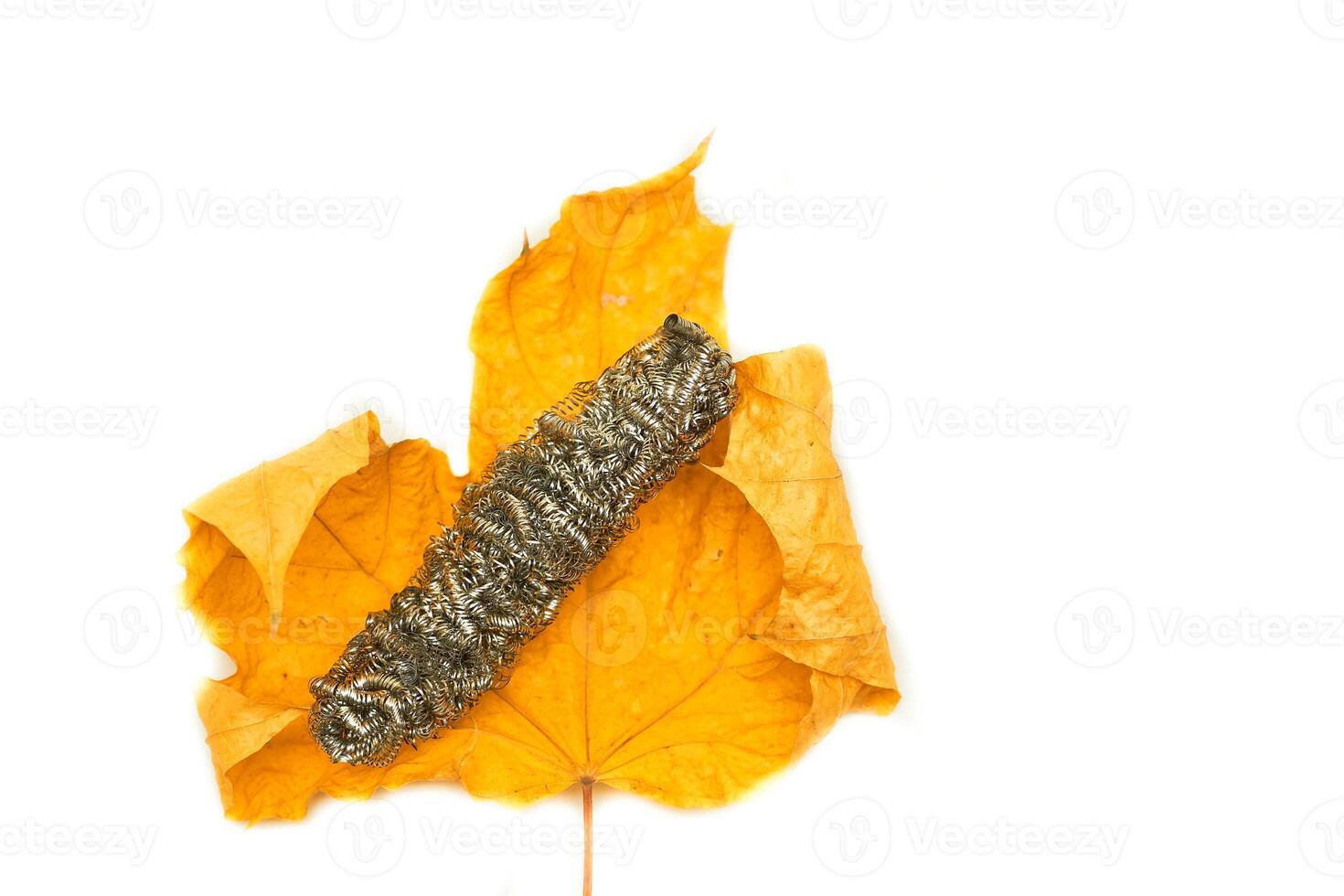 Metal shavings used to clean objects from dirt rust on orange leaf photo