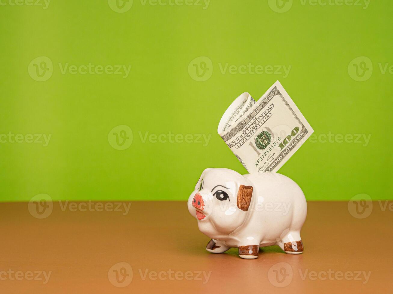 Lovely piggy bank with a US dollar banknote on a brown background photo
