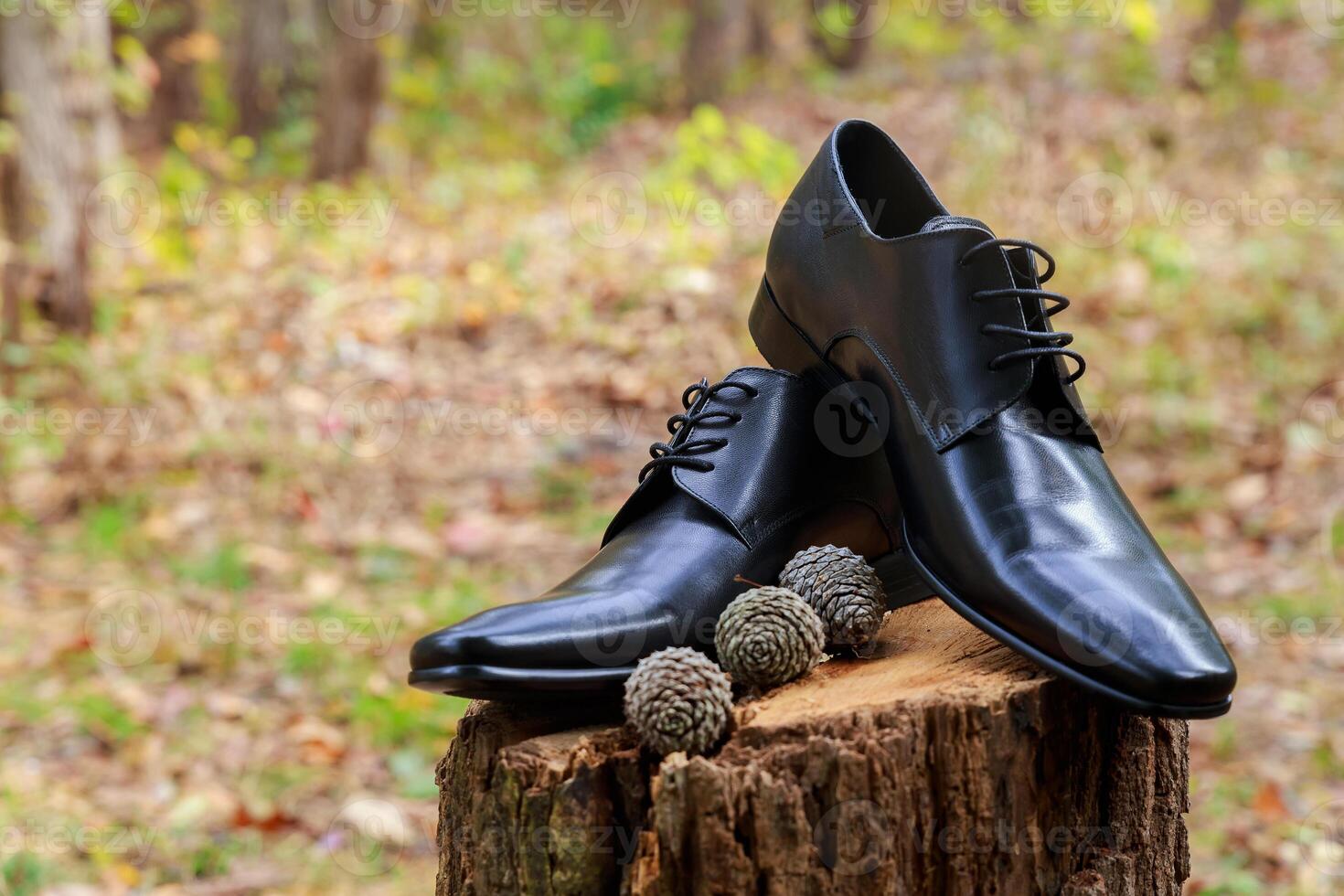 Men's black leather dress shoes holiday, clean, evening, dark photo