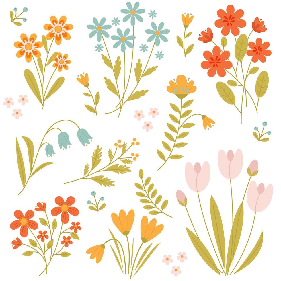 a set of cute spring and summer flowers on a white background vector