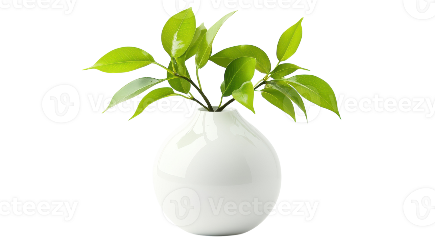 A Sleek White Vase with Fresh Green Leaves Perfect for Modern Home Decor or Botanical Photography Projects. png