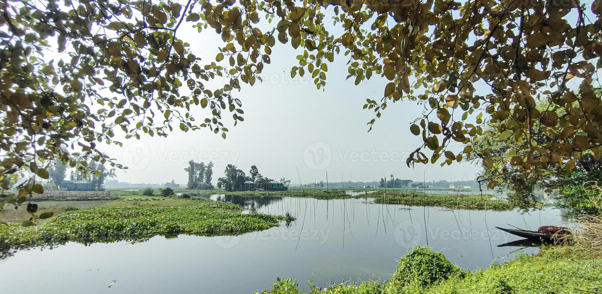 lake in the forest, a boat is floating down a river in the middle of a lush green field, Serene Lakeside View, photo
