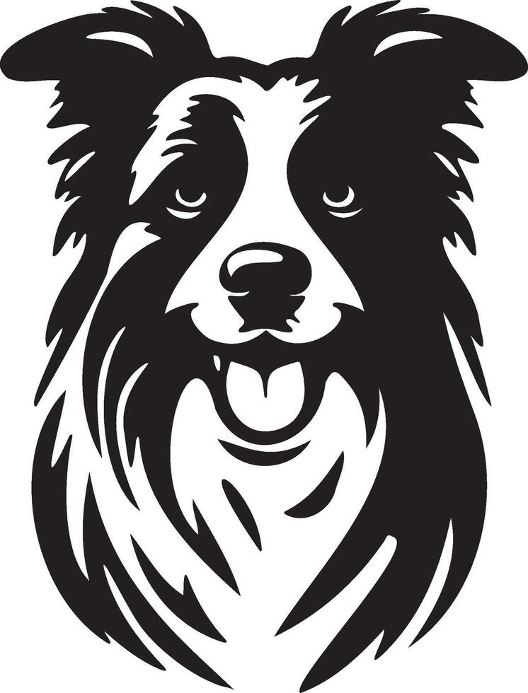 Border Collie Dog Head. vector