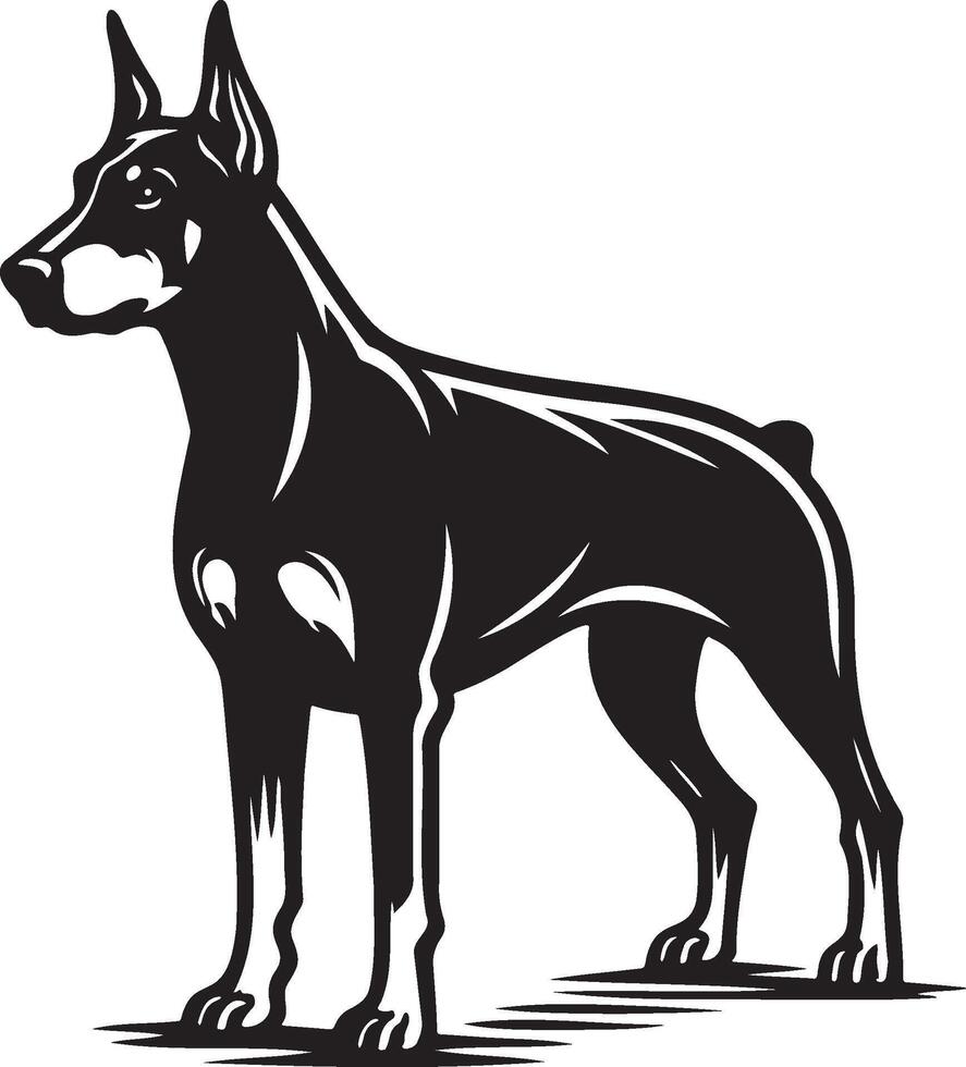 German Doberman Pinscher Dog. vector