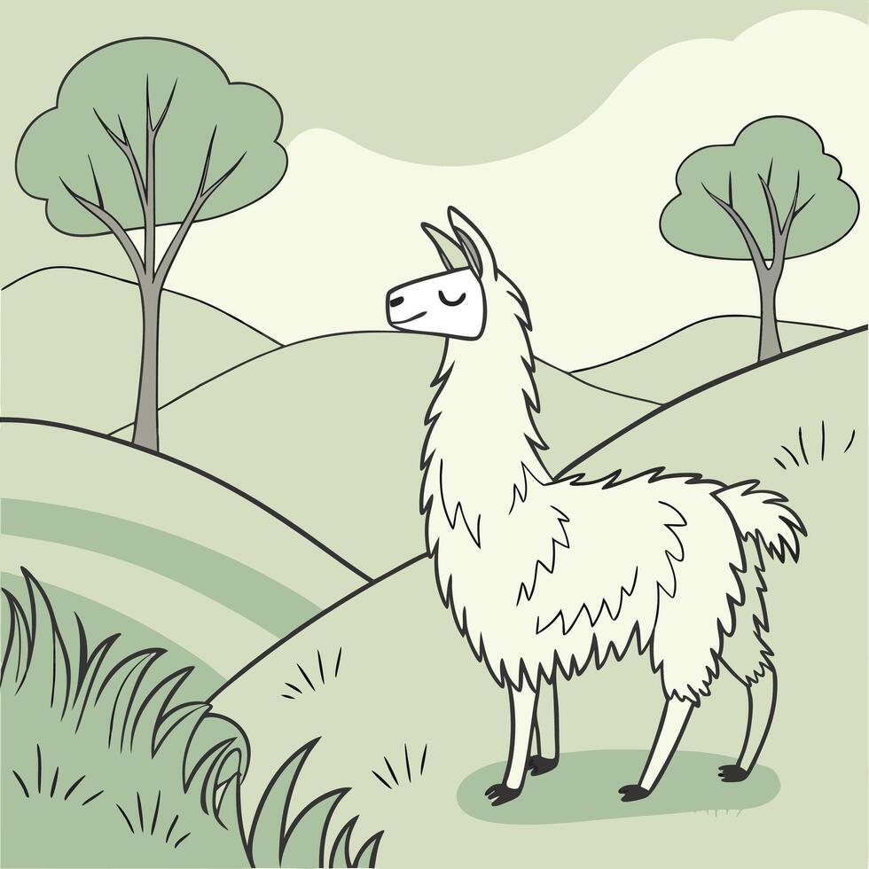 The illustration of llama animal vector