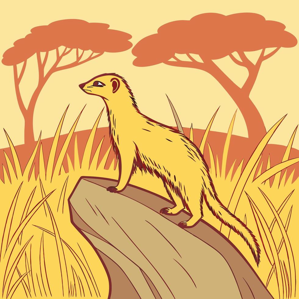 The illustration of mongoose animal vector