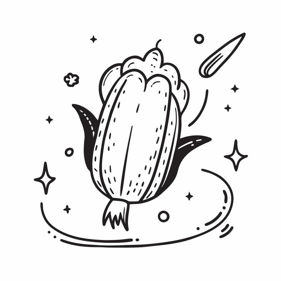 Corn Cob and Sideways Line concept as Corn cob and a sideways line on a whimsical background offering ample space for text or graphics symbolizing constant corn commodity value in Cleans vector