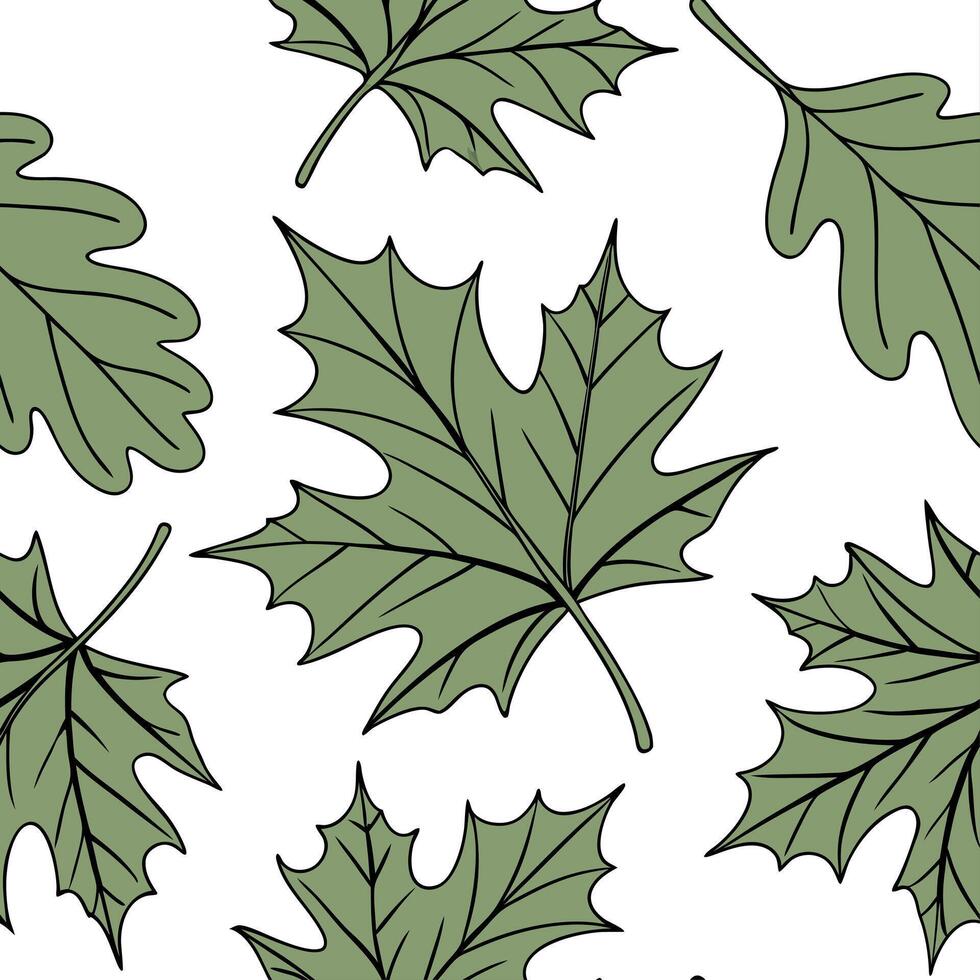Classic summer leaves seamless pattern with oak and maple leaves for traditional summer aesthetics concept as Traditional oak and maple leaves arranged seamlessly for a classic and Cleans vector