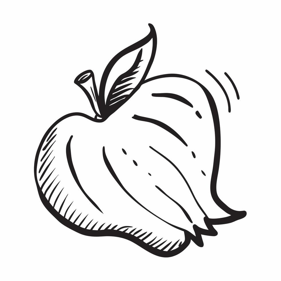 Apple icon with copy space on a gray background concept as A image of an apple icon with ample copy space on a gray background ideal for healthy eating and nutrition themed Cleans vector