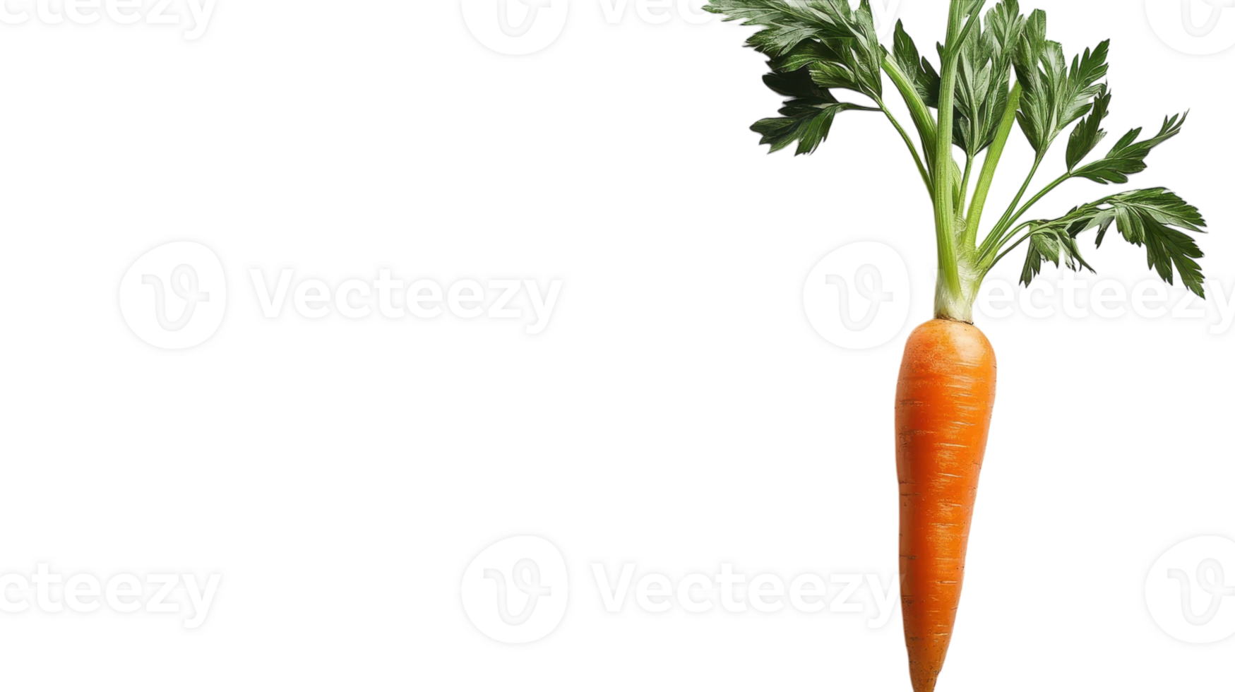 Vibrant Orange Carrot with Lush Green Leaves Perfect for Healthy Cooking and Nutrition-Based Topics Including Agriculture and Gardening. png