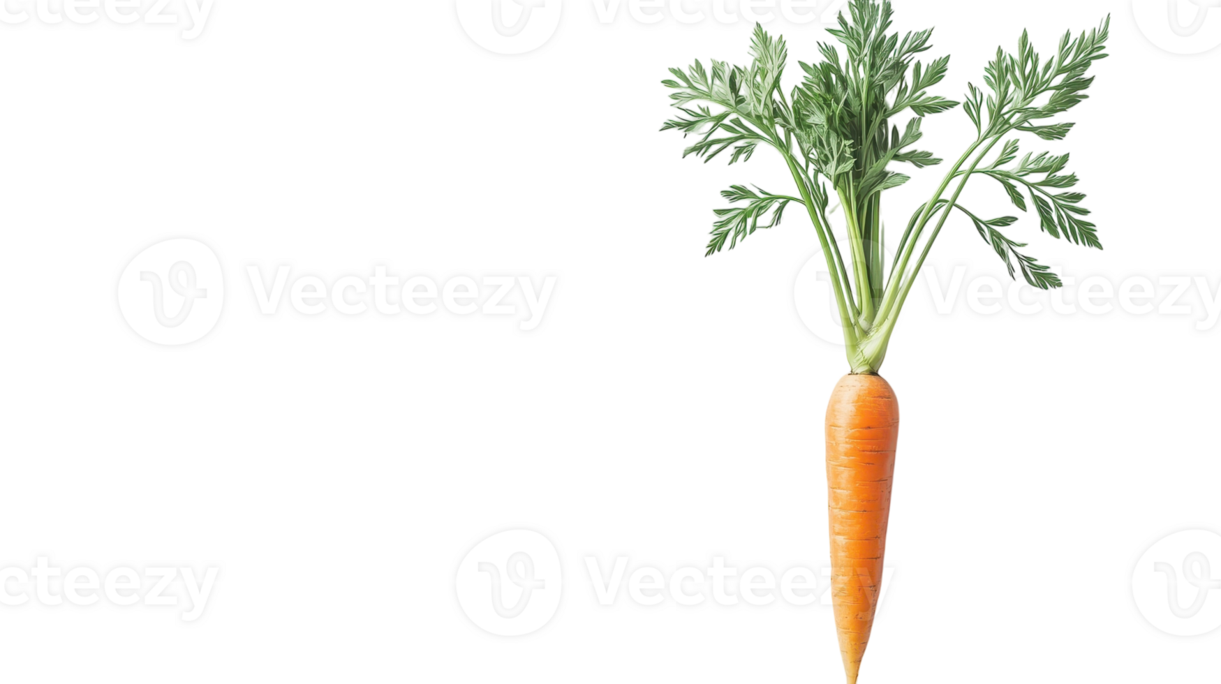 Fresh and Vibrant Orange Carrot with Lush Green Leaves Perfect for Healthy Recipes, Gardening Themes, and Culinary Presentations. png