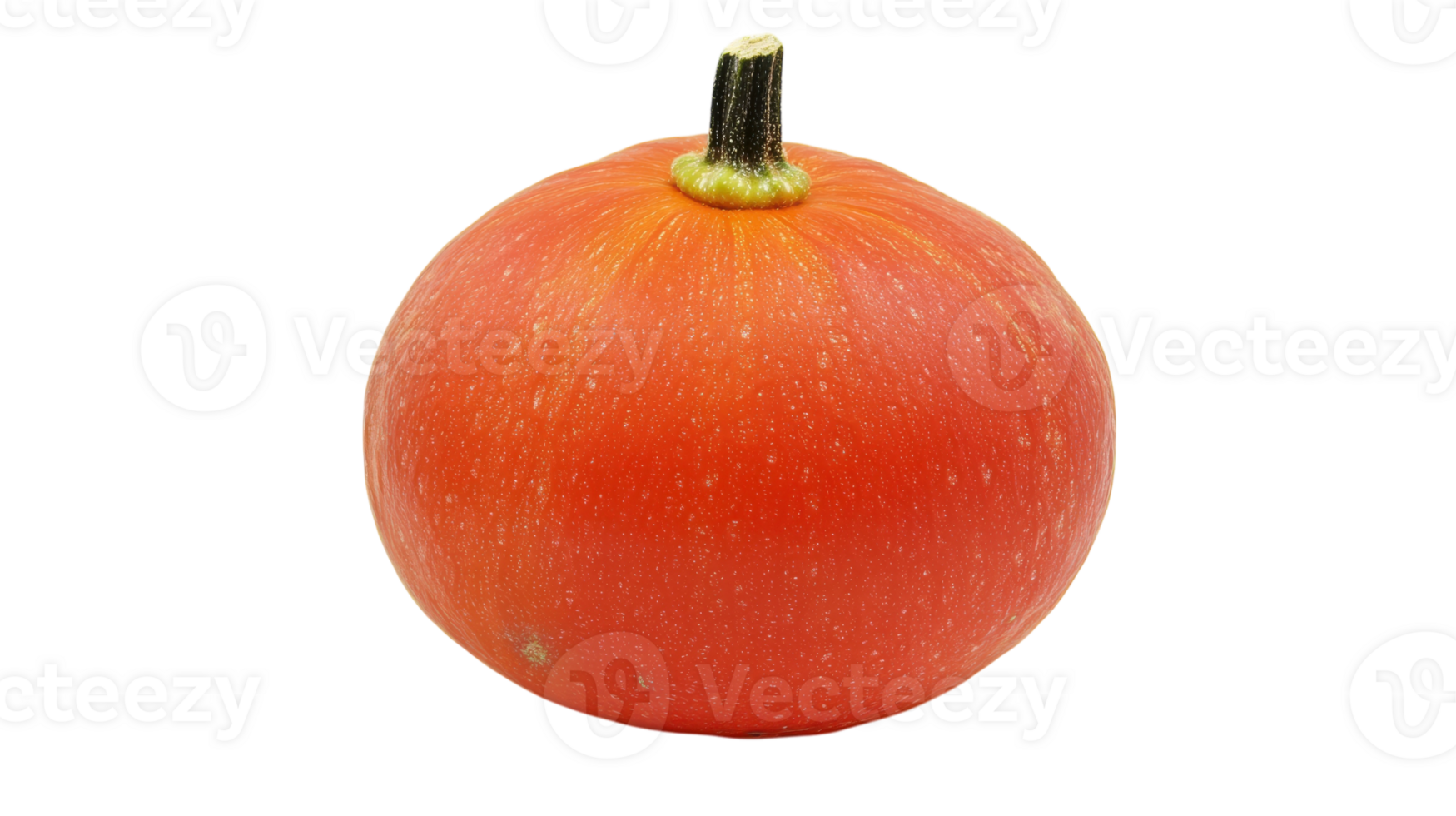 Vibrant Bright Orange Pumpkin with a Small Stem Perfect for Autumn Decorations, Halloween Events and Thanksgiving Seasonal Themes in Various Crafts and Designs. png