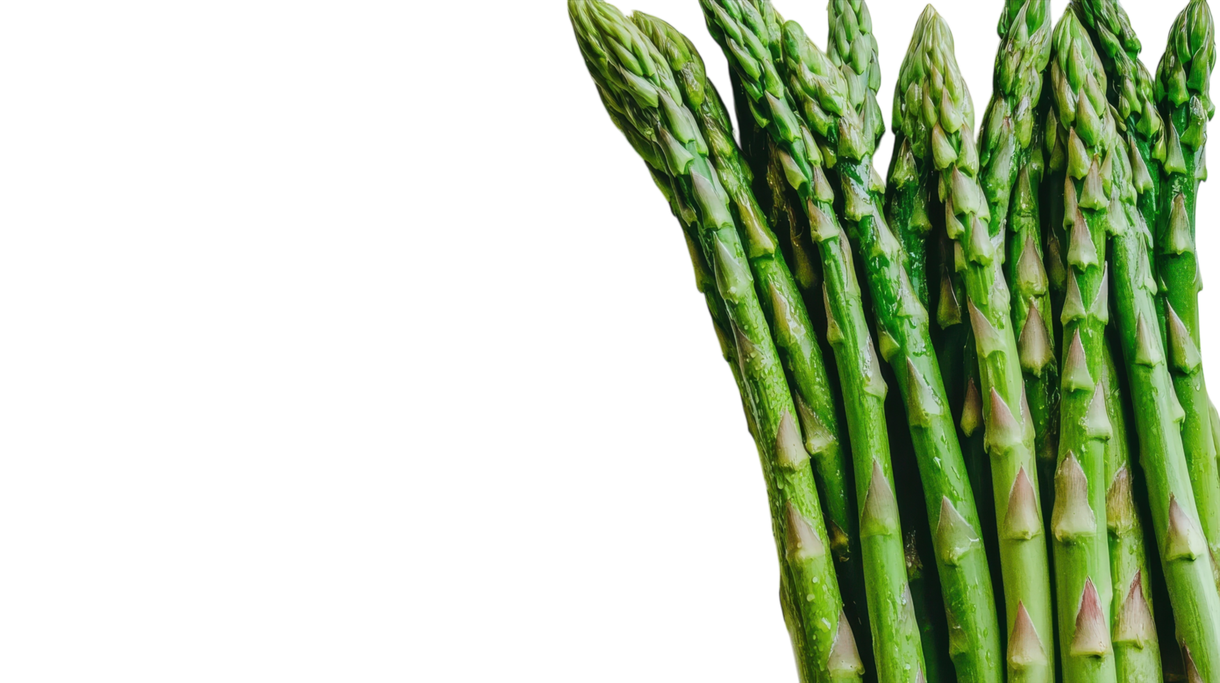 A Bountiful Display of Fresh Green Asparagus Spears Perfect for Healthy Eating and Culinary Dishes in Spring Season. png