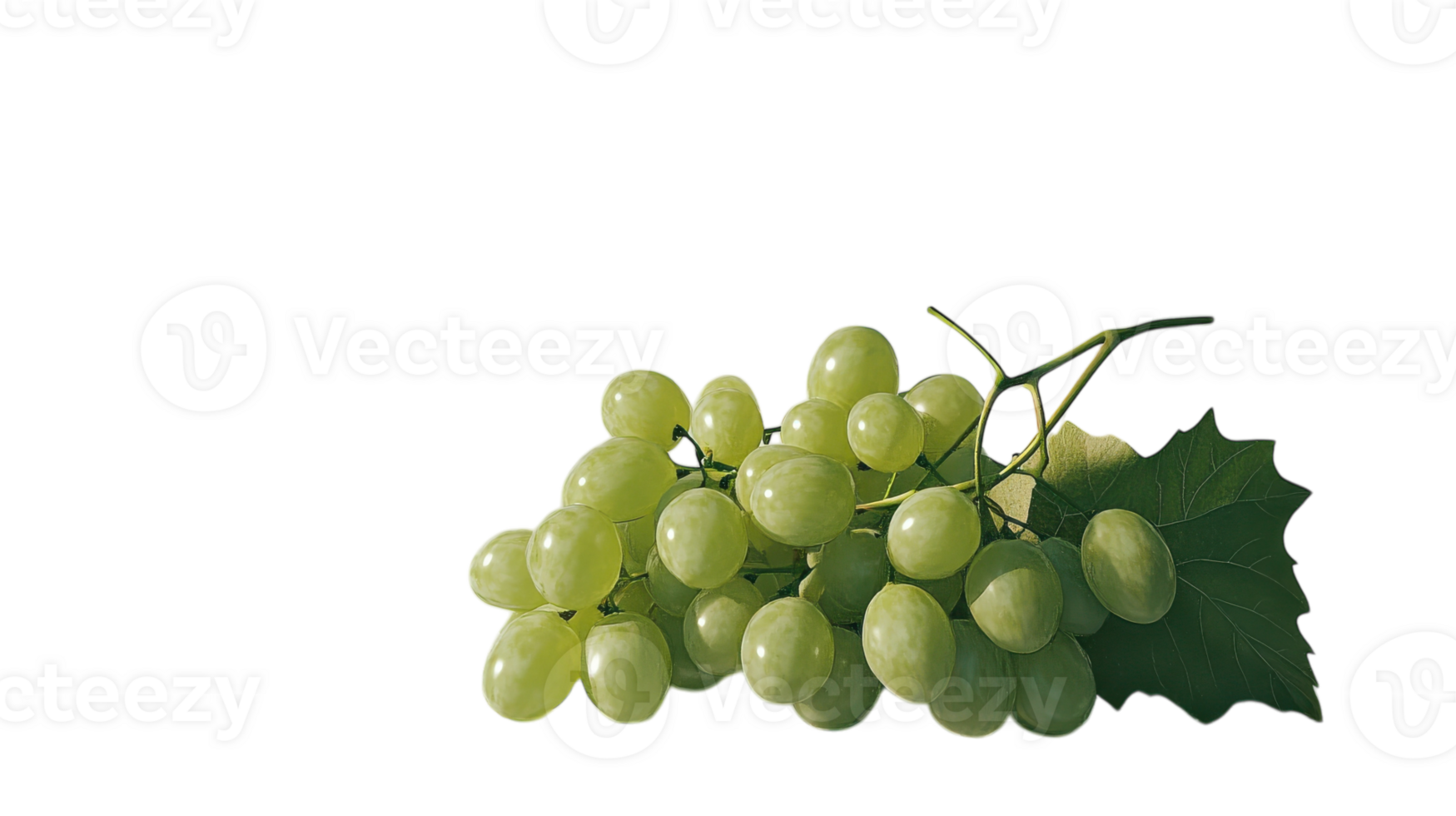 Fresh bunch of green grapes with a stem for healthy eating and culinary uses, perfect for fruit salad or garnish in various dishes. png