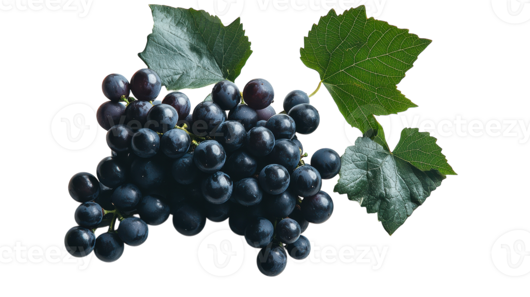 A Bunch of Fresh Red Grapes With Lush Green Leaves, Perfect for Illustrating Healthy Eating and Organic Produce Concepts in Culinary Arts or Nutrition Articles. png