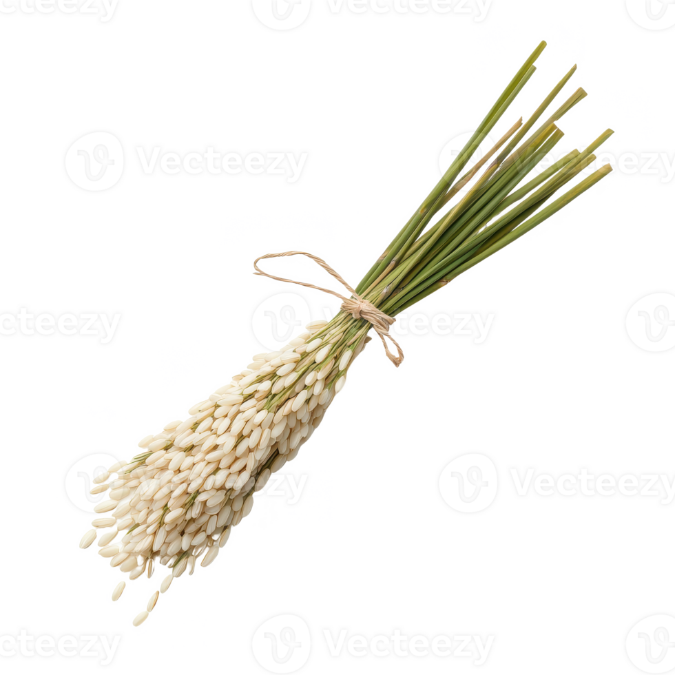 A beautiful bunch of white flowers tied with a natural twine for a charming decorative touch. png