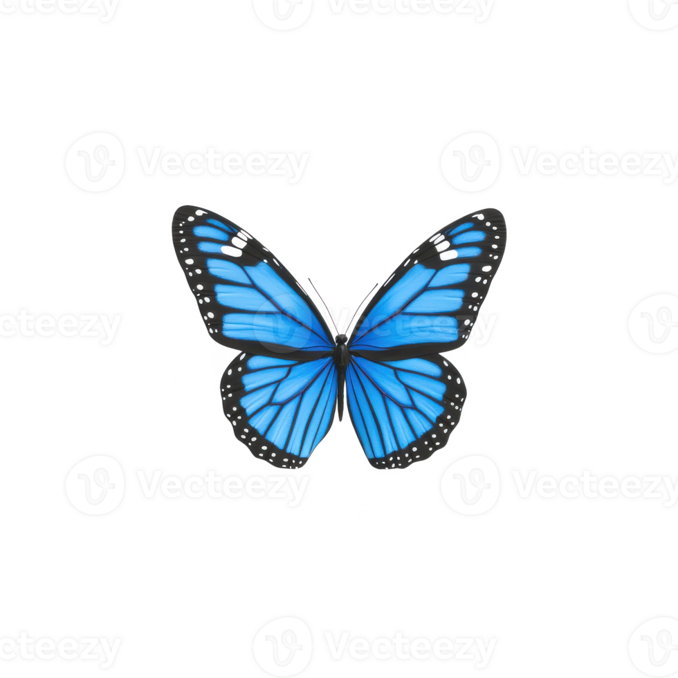 Colorful blue butterfly with intricate wing patterns, isolated on a white background. png