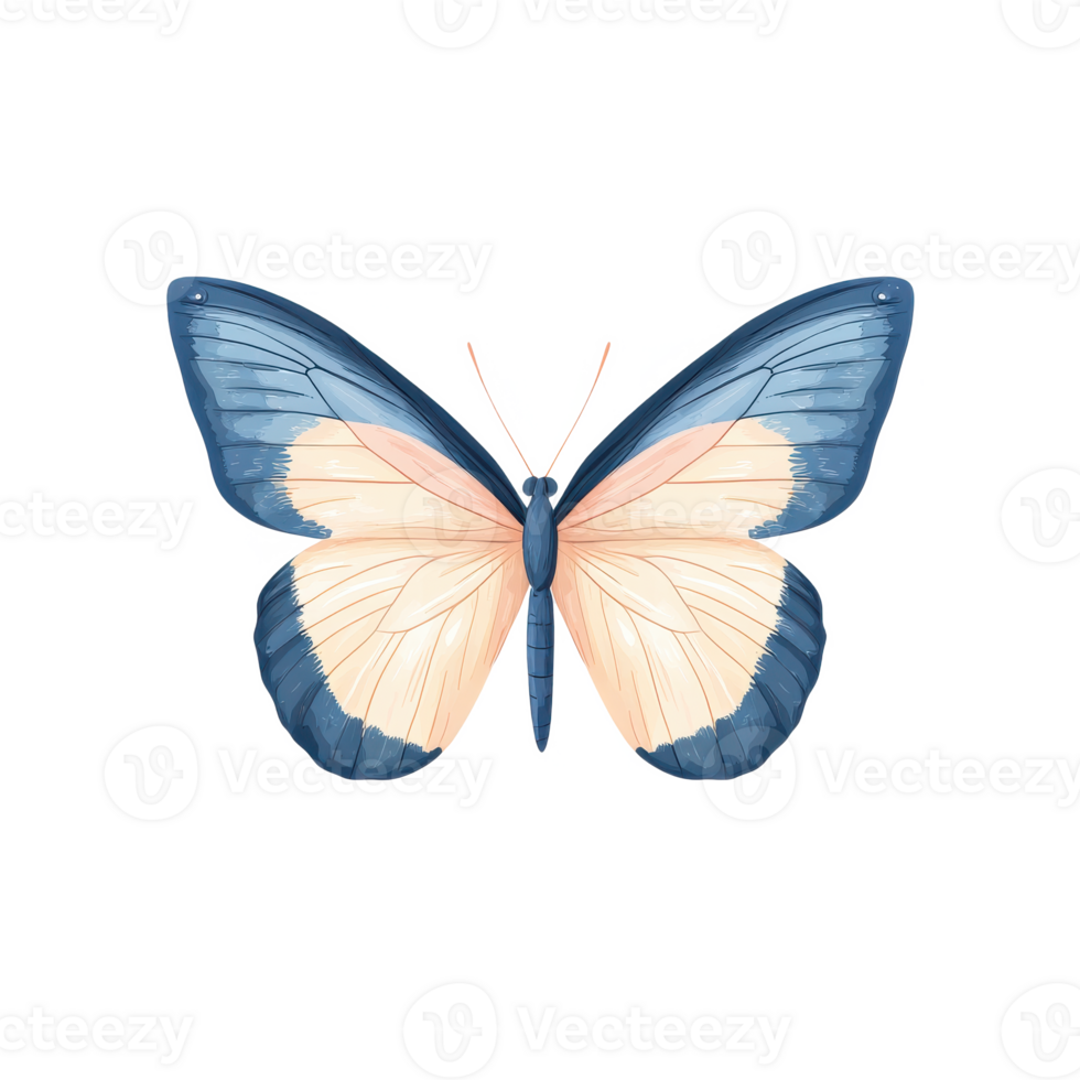 Colorful butterfly with extended wings, isolated on a white background. png