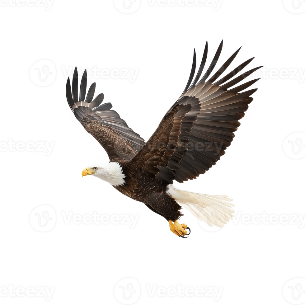 Majestic eagle soaring through the sky with outstretched wings, isolated on a white background. png