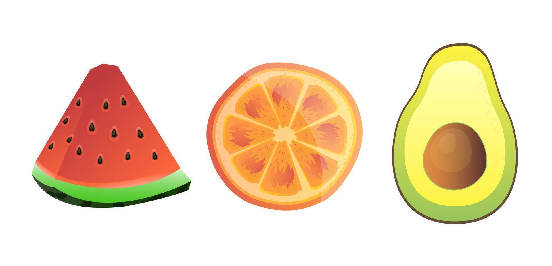 Fresh Fruit Illustrations Featuring Watermelon, Orange, and Avocado vector