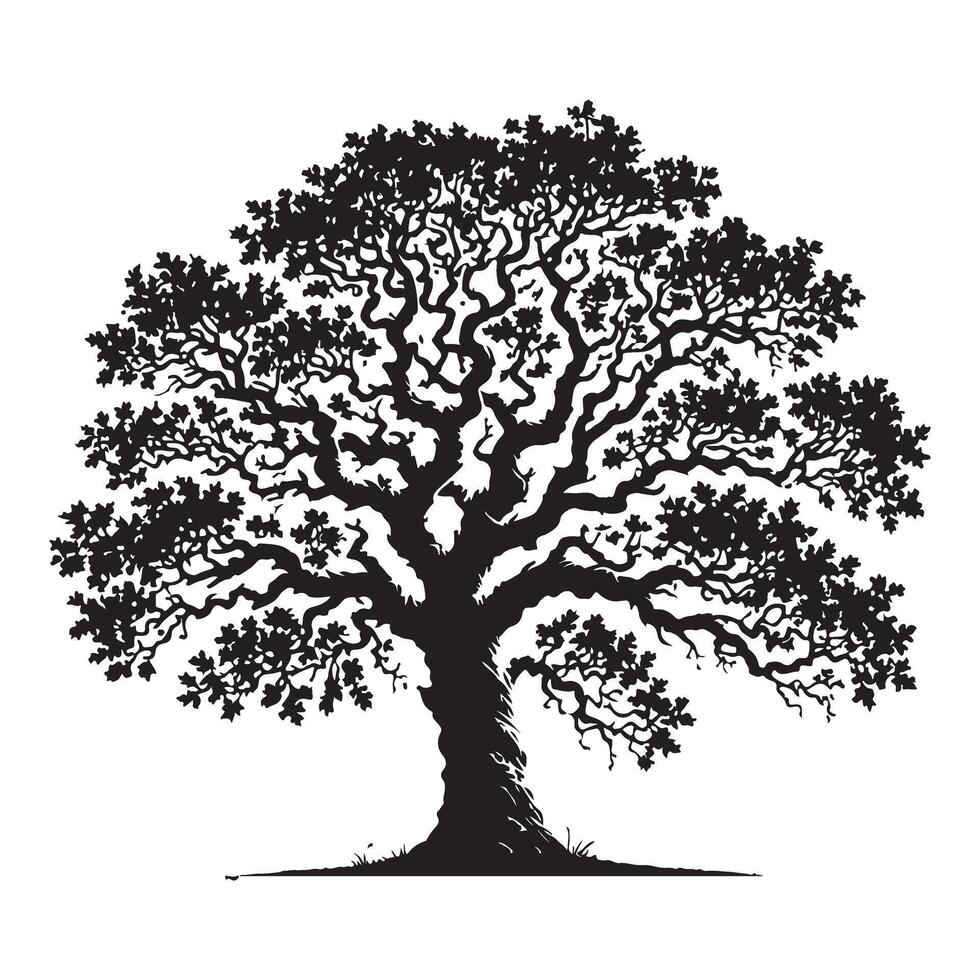 Majestic Oak Tree Silhouette Illustration vector