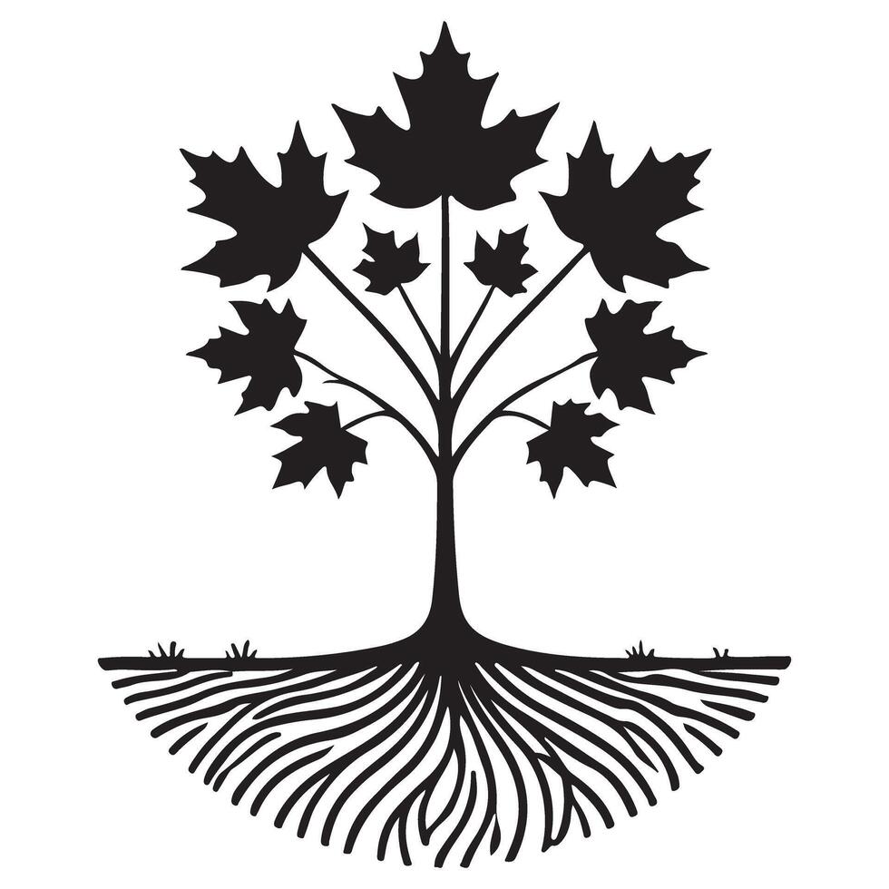 Simple Maple Tree Silhouette with Roots Illustration vector
