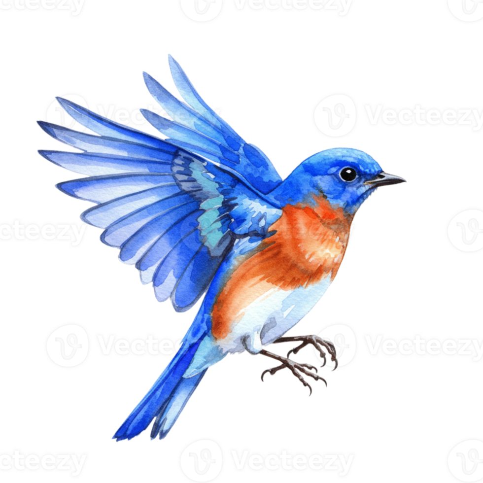 Vibrant bluebird in flight wildlife sanctuary digital illustration transparent background nature view artistic concept png