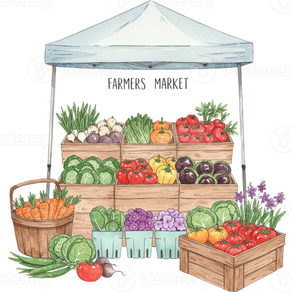 Fresh produce display at farmers market vibrant colors transparent background outdoor setting engaging viewpoint png
