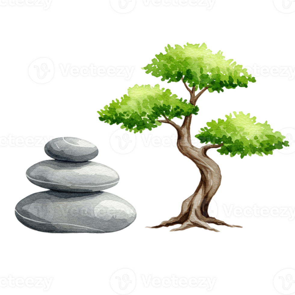 Zen garden elements stones and tree on transparent background for nature artwork png