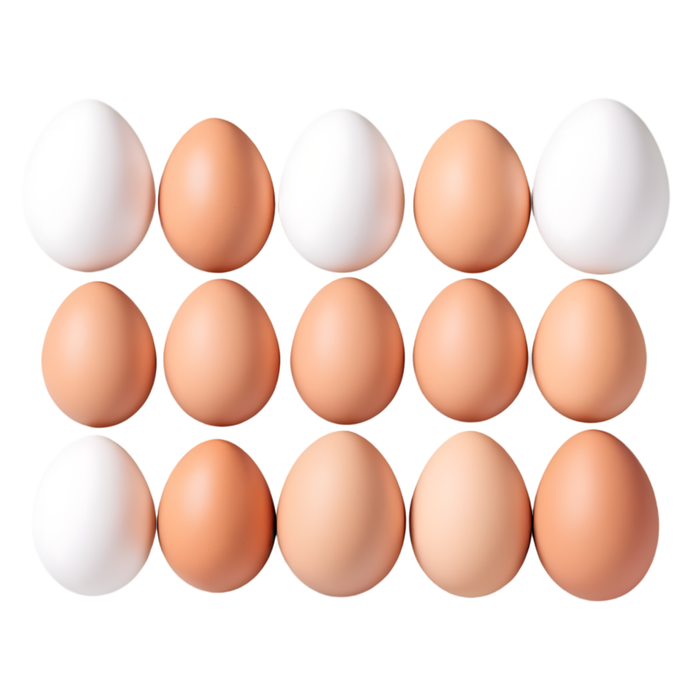 eggs, organized pattern, brown and white, symmetry, top view, grid layout, natural food, poultry product, organic, farm fresh, culinary ingredient, variety, high-resolution, studio png